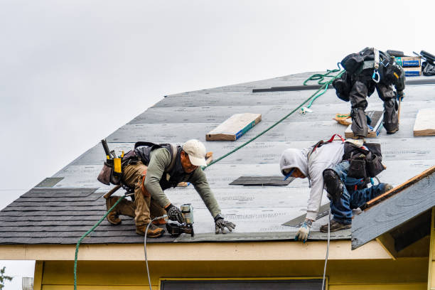 Professional Gutter Installation technician working in Lake City, MN
